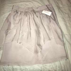Banana Republic silver skirt